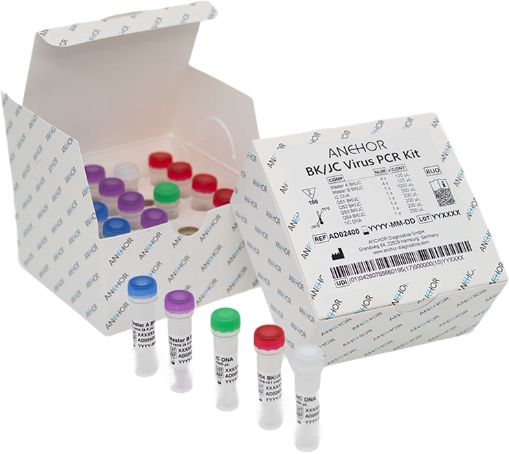 ANCHOR BK/JC Virus PCR Kit (RUO)
