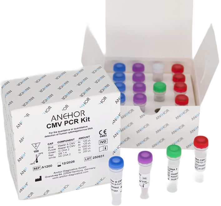 ANCHOR CMV PCR Kit (CE-IVD)